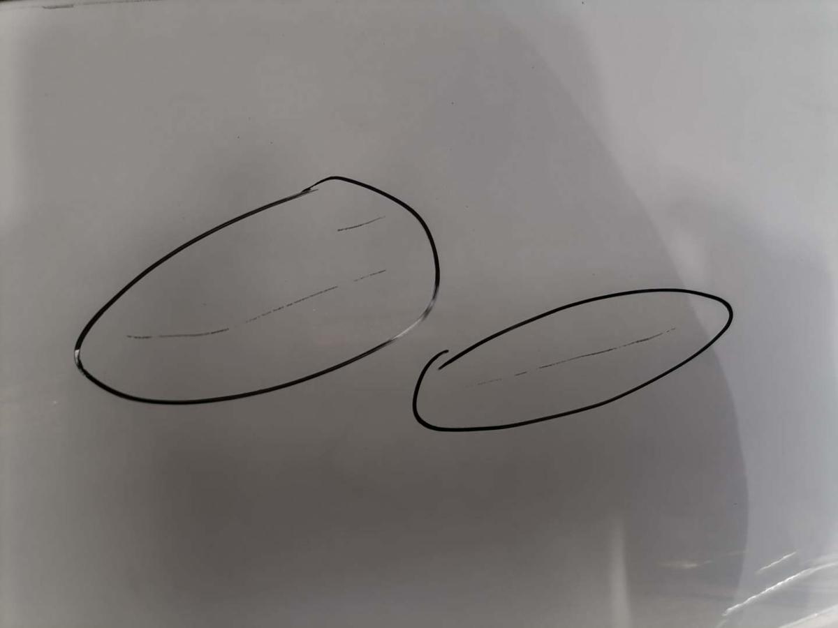 Smart #1 Brabus original Tür hinten rechts Weiß ohne Scheibe Bj.2022